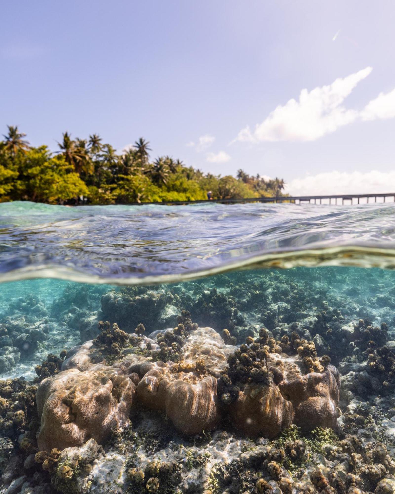 Kirulhiya Maldives Hotel Omadhoo Eksteriør billede